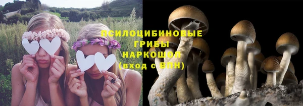 apvp Гусиноозёрск