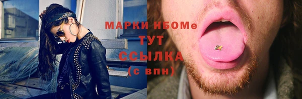 прущие грибы Гусев