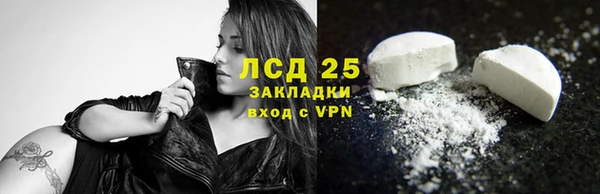 прущие грибы Гусев
