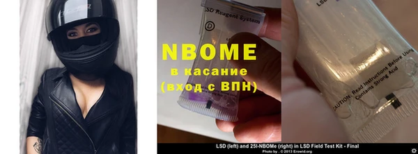прущие грибы Гусев