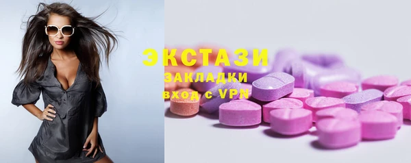 прущие грибы Гусев