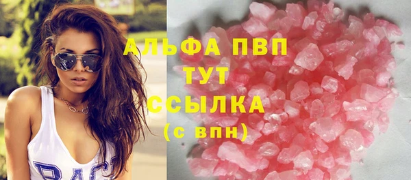 прущие грибы Гусев