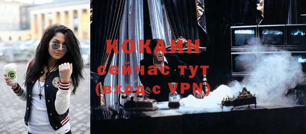 прущие грибы Гусев