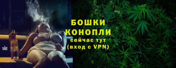 apvp Гусиноозёрск
